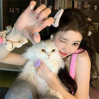 寅次郎的故事：寅次郎芙蓉花特别篇